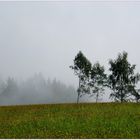 Nebel - Aussicht