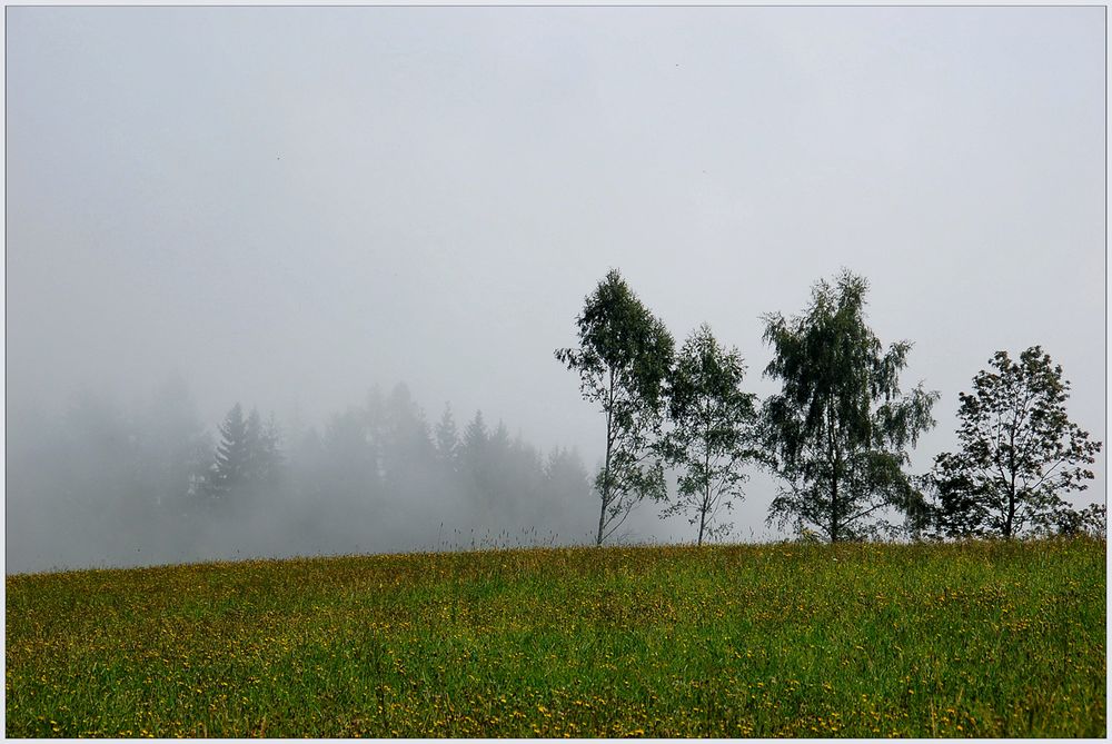 Nebel - Aussicht