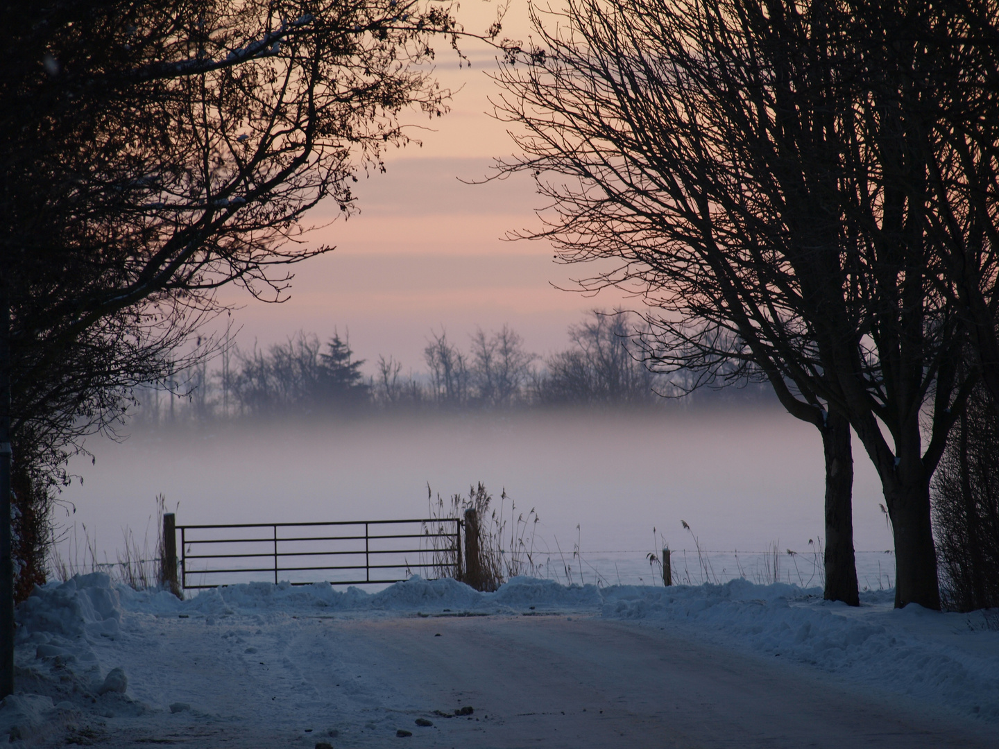 Nebel