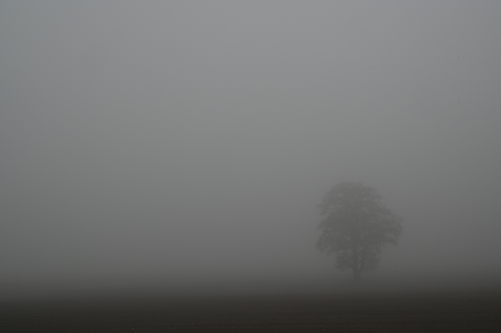 Nebel