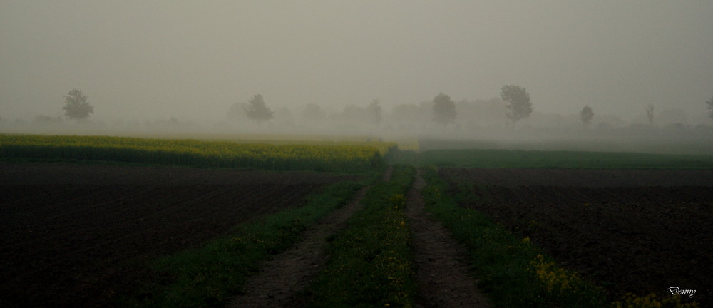 Nebel