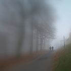 Nebel