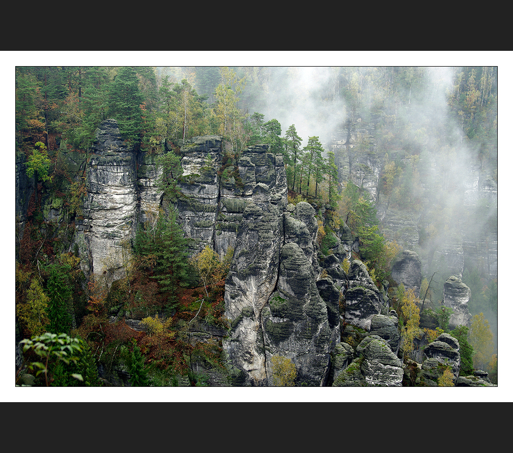 Nebel + Bastei