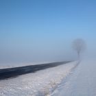 NEBEL - BAUM