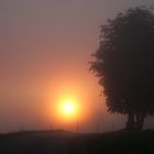 Nebel, Baum und Sonne