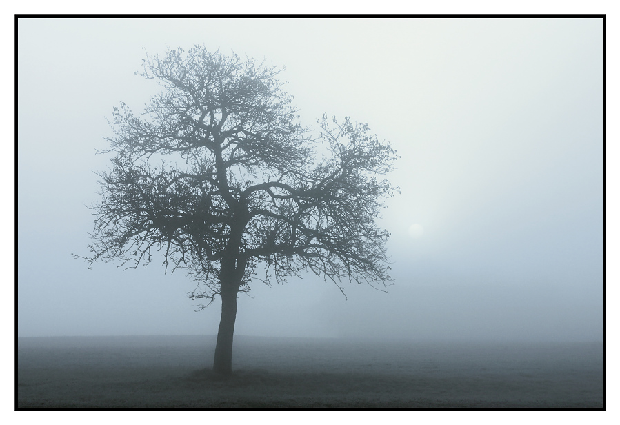 Nebel