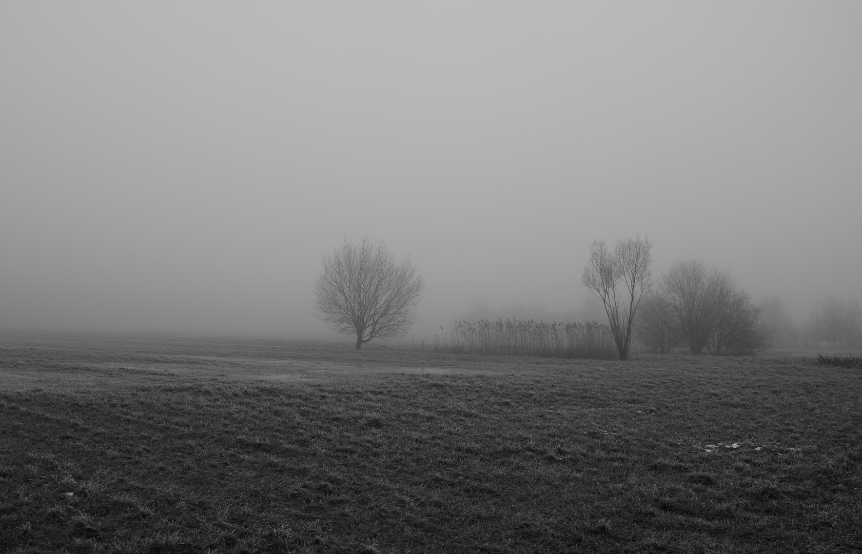 Nebel