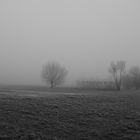 Nebel