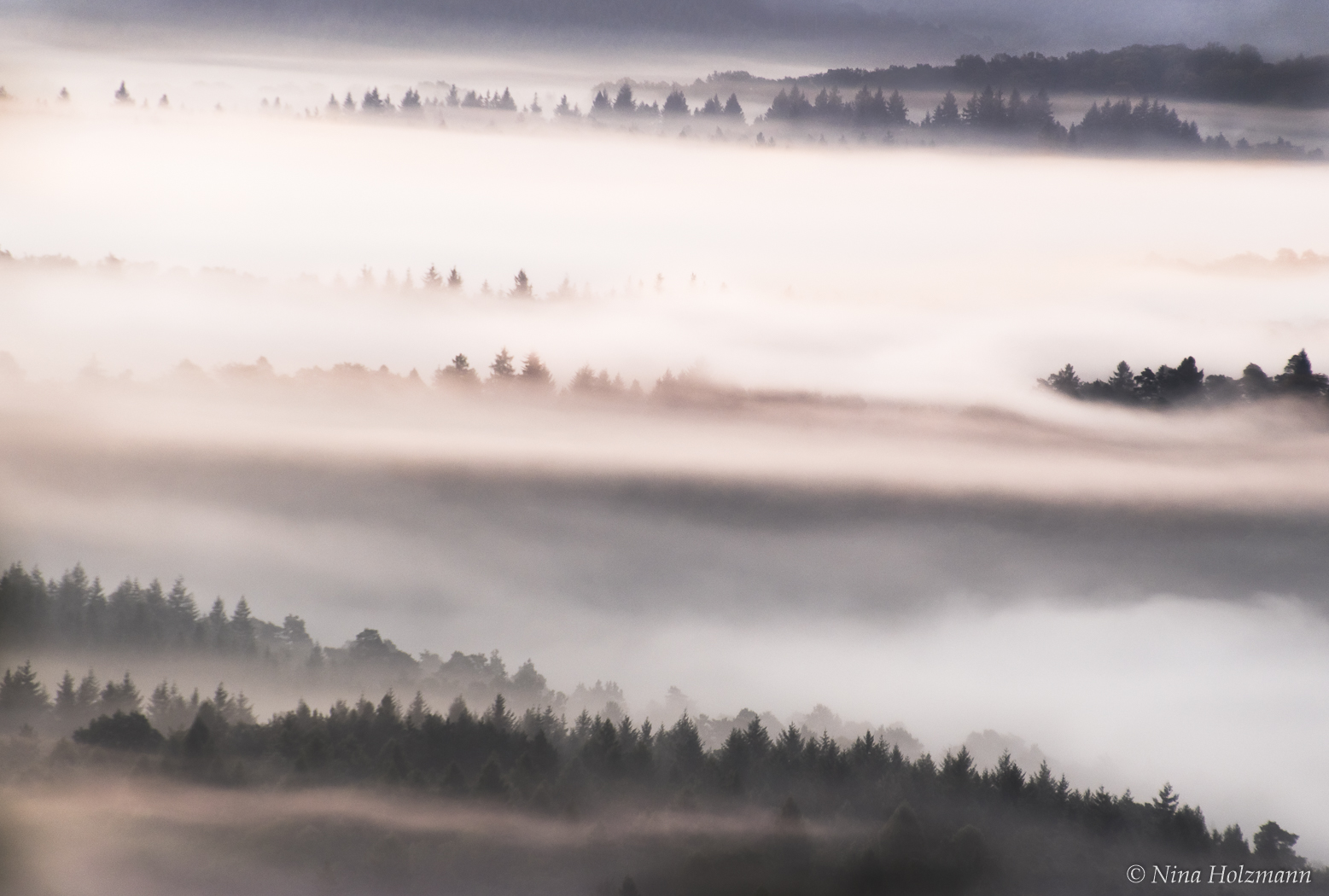 Nebel bedeckt die Täler