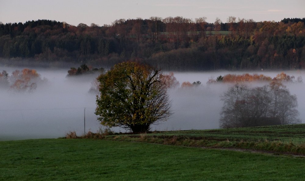 Nebel begrenzt  ...