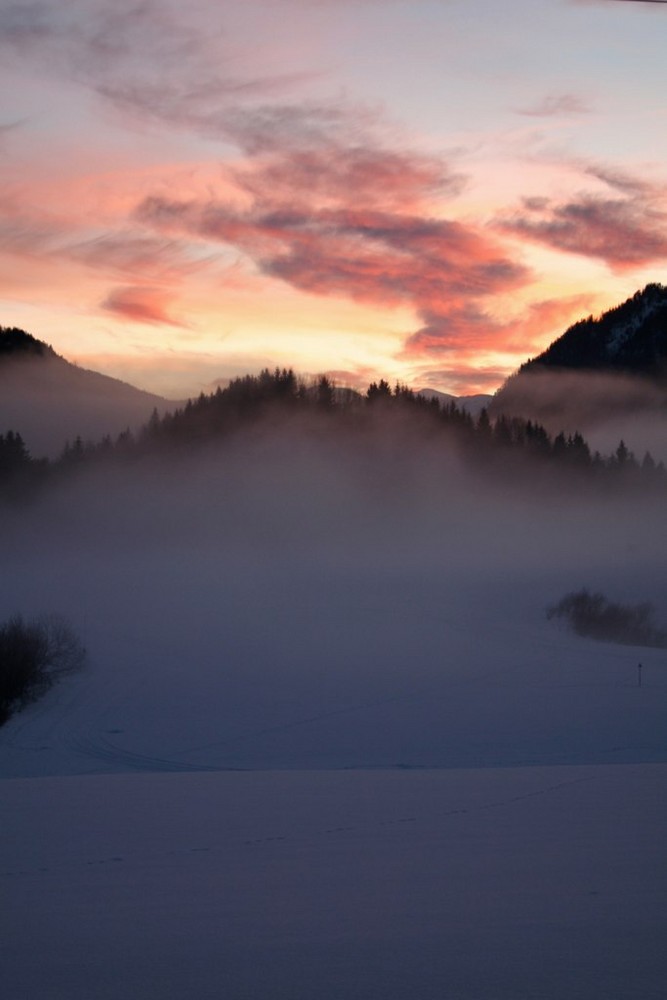 Nebel bei Abendstimmung