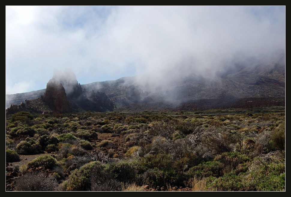 Nebel bei den Roques de García