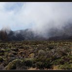 Nebel bei den Roques de García