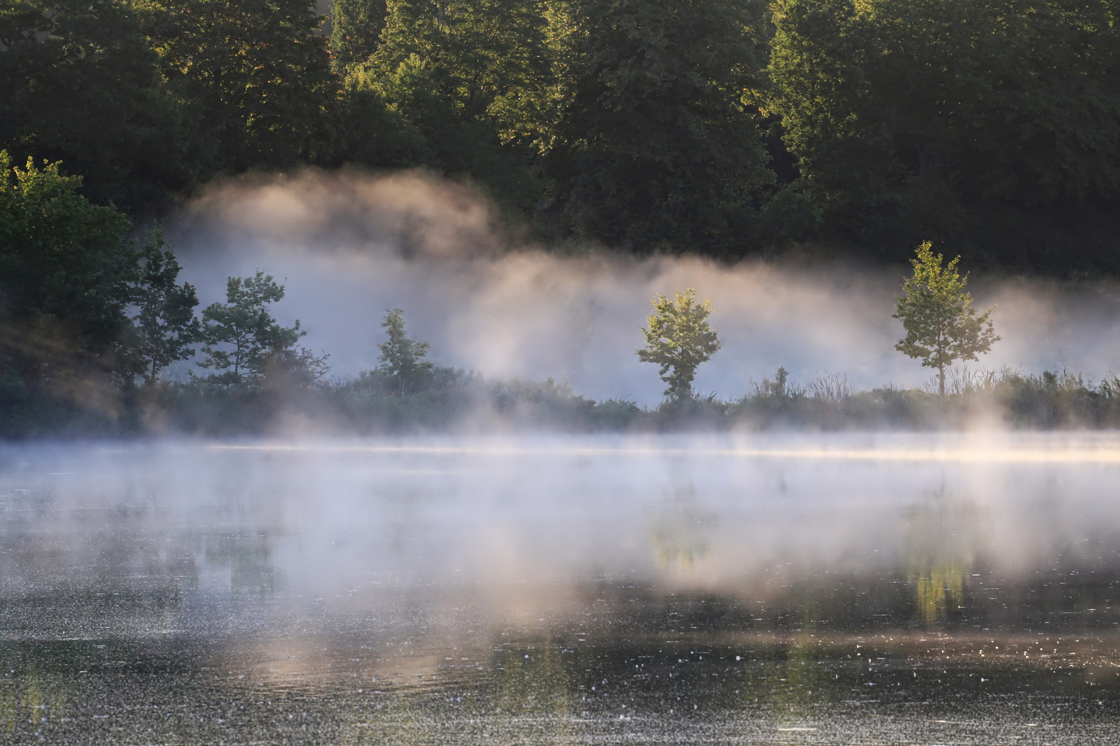 Nebel bei Freudenholm (Lanker See) - misty area at Freudenholm (Lanker See)