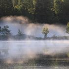 Nebel bei Freudenholm (Lanker See) - misty area at Freudenholm (Lanker See)