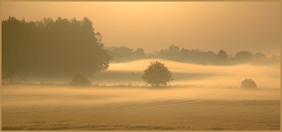 Nebel bei Fürstenfeldbruck