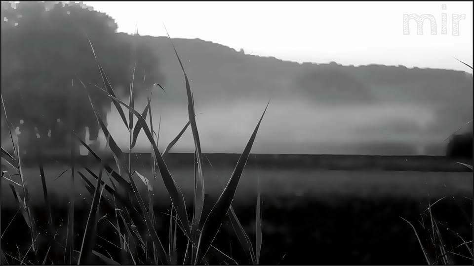 Nebel bei Grötzingen