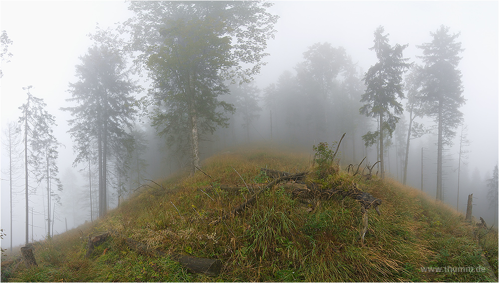 Nebel bei Lochen