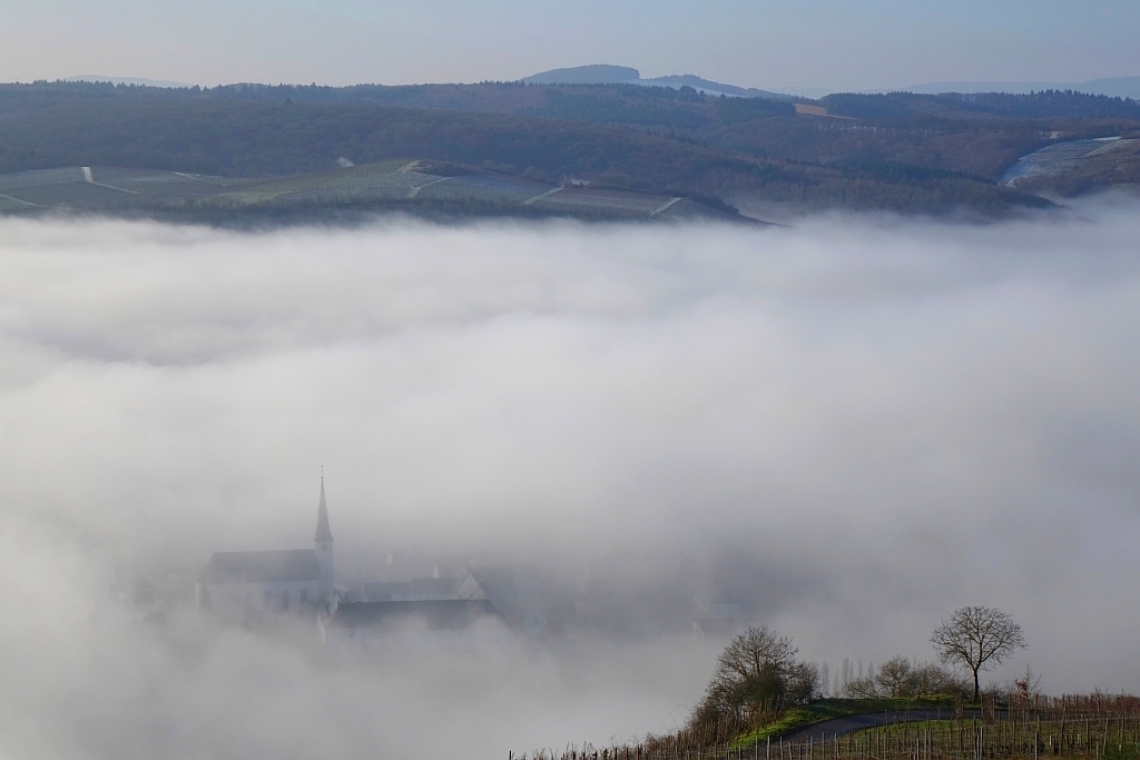 Nebel bei Longuich, Mosel