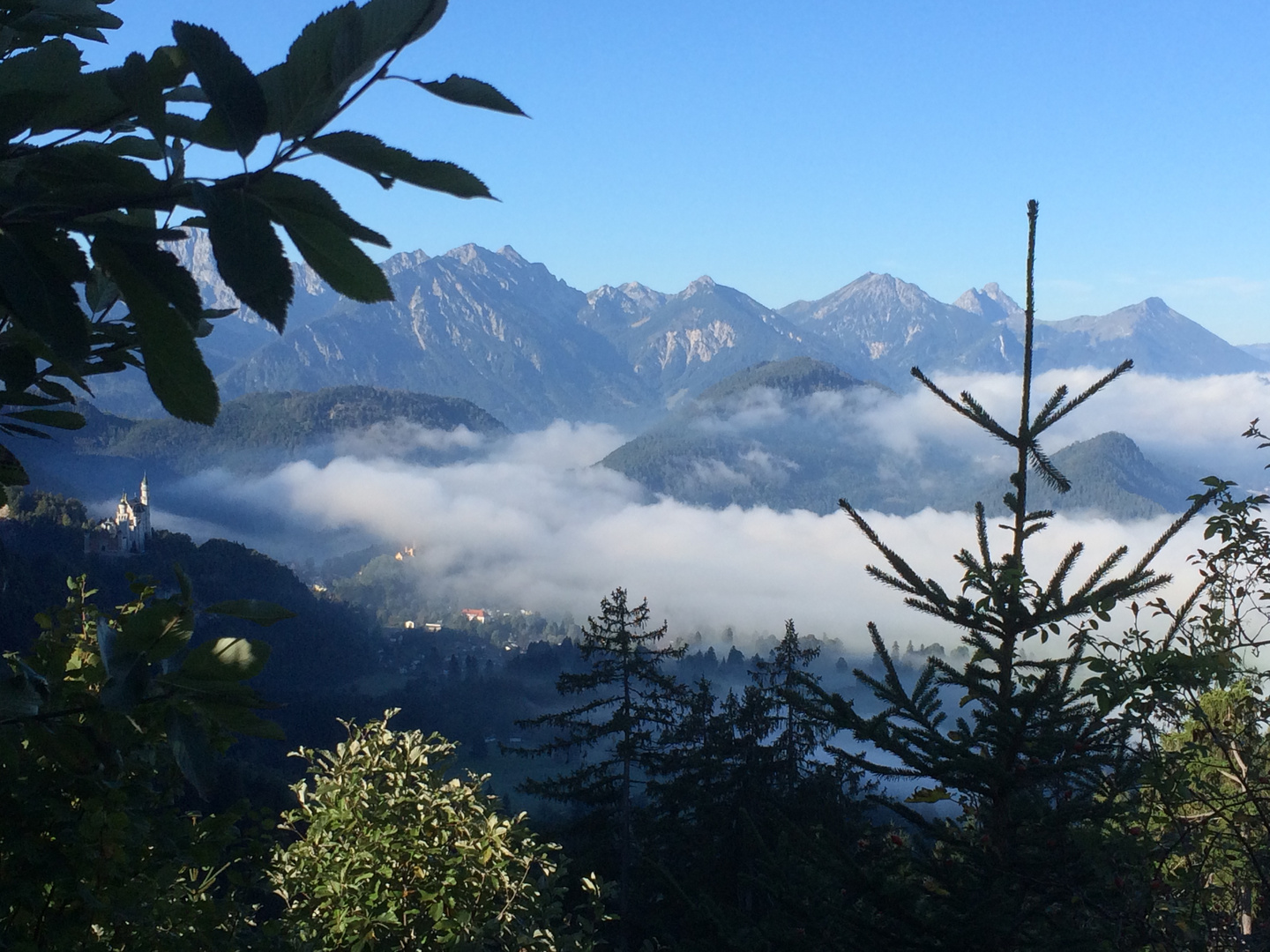 Nebel bei Neuschwanstein