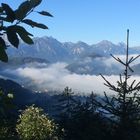 Nebel bei Neuschwanstein