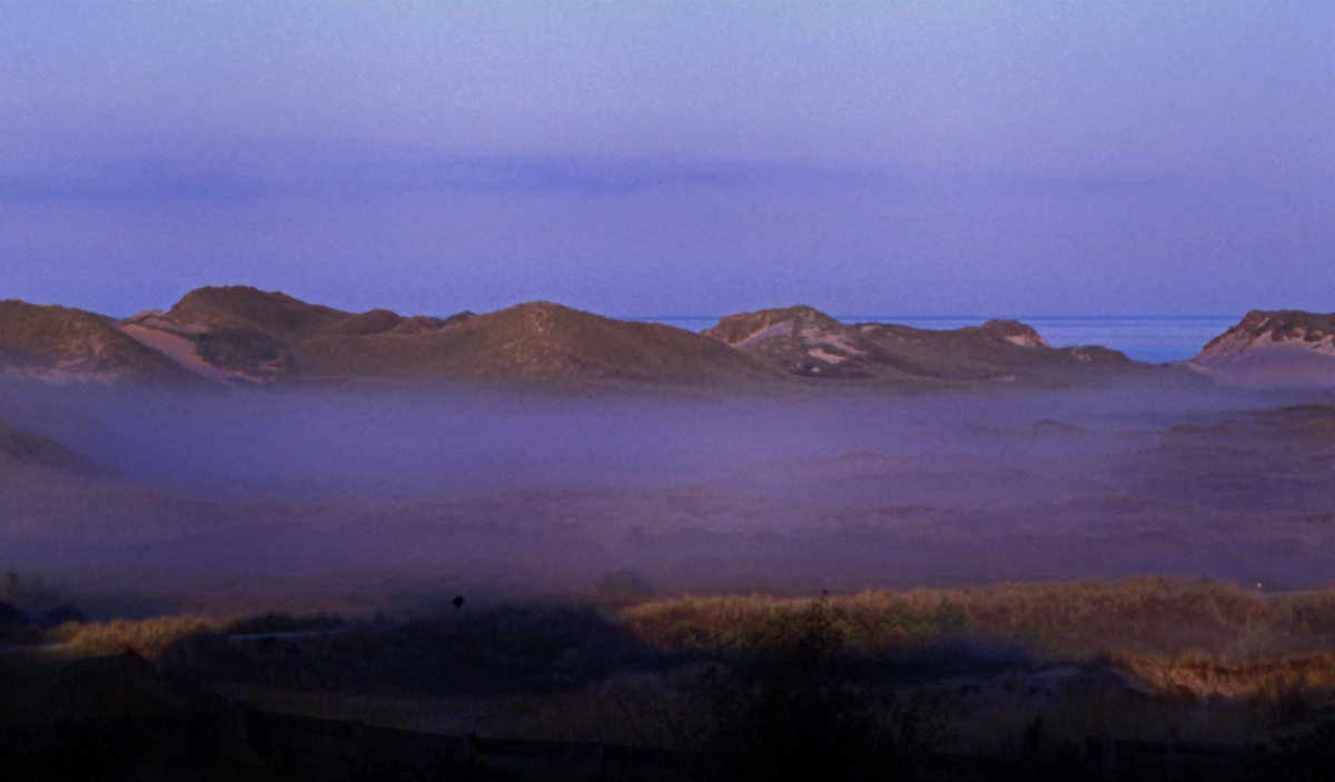 Nebel bei Norddorf