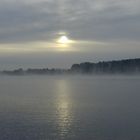 Nebel bei Potsdam