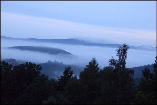 Nebel bei Rinseke