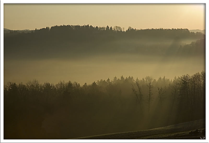 Nebel bei Sonnenaufgang