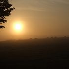 Nebel bei Sonnenaufgang