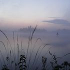 Nebel bei Sonnenaufgang am Lech