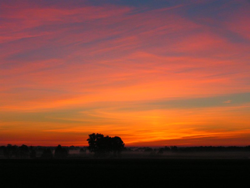 Nebel bei Sonnenaufgang.