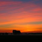 Nebel bei Sonnenaufgang.