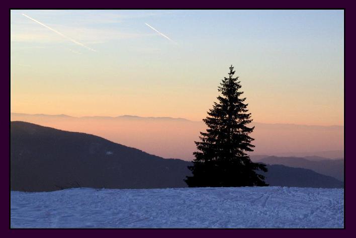 Nebel bei Sonnenuntergang