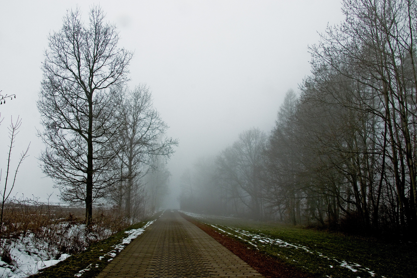 Nebel bei Stollberg- Erzg.