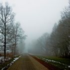 Nebel bei Stollberg- Erzg.