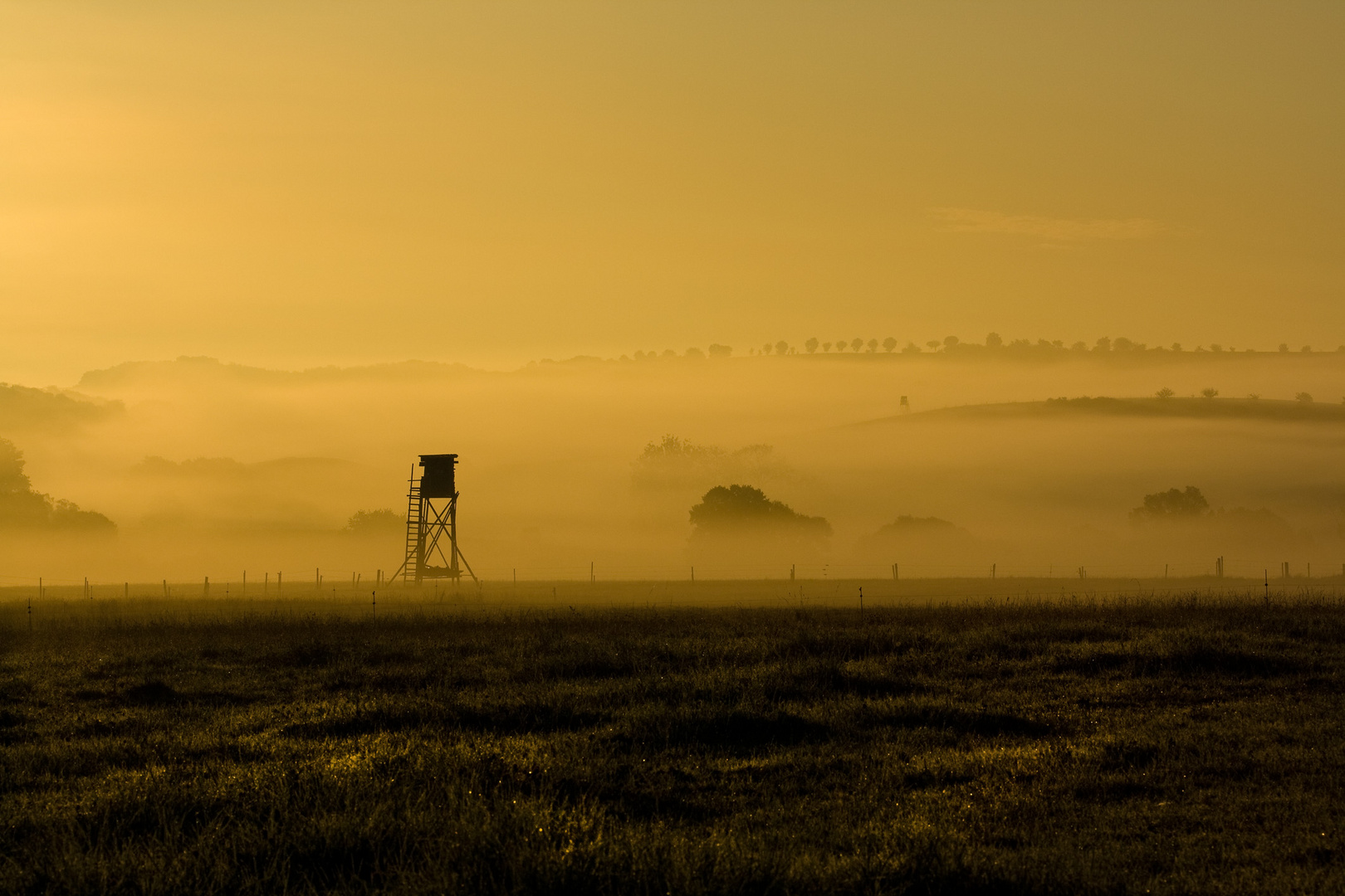 Nebel bei Tagesanbruch