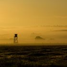 Nebel bei Tagesanbruch