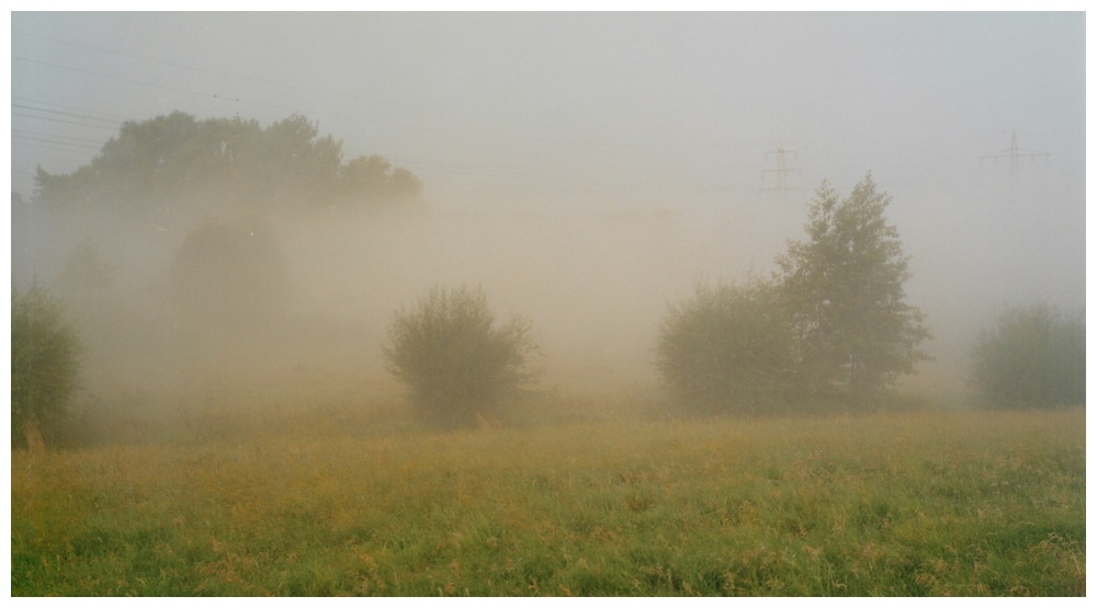 Nebel beim Gassi-Gehen