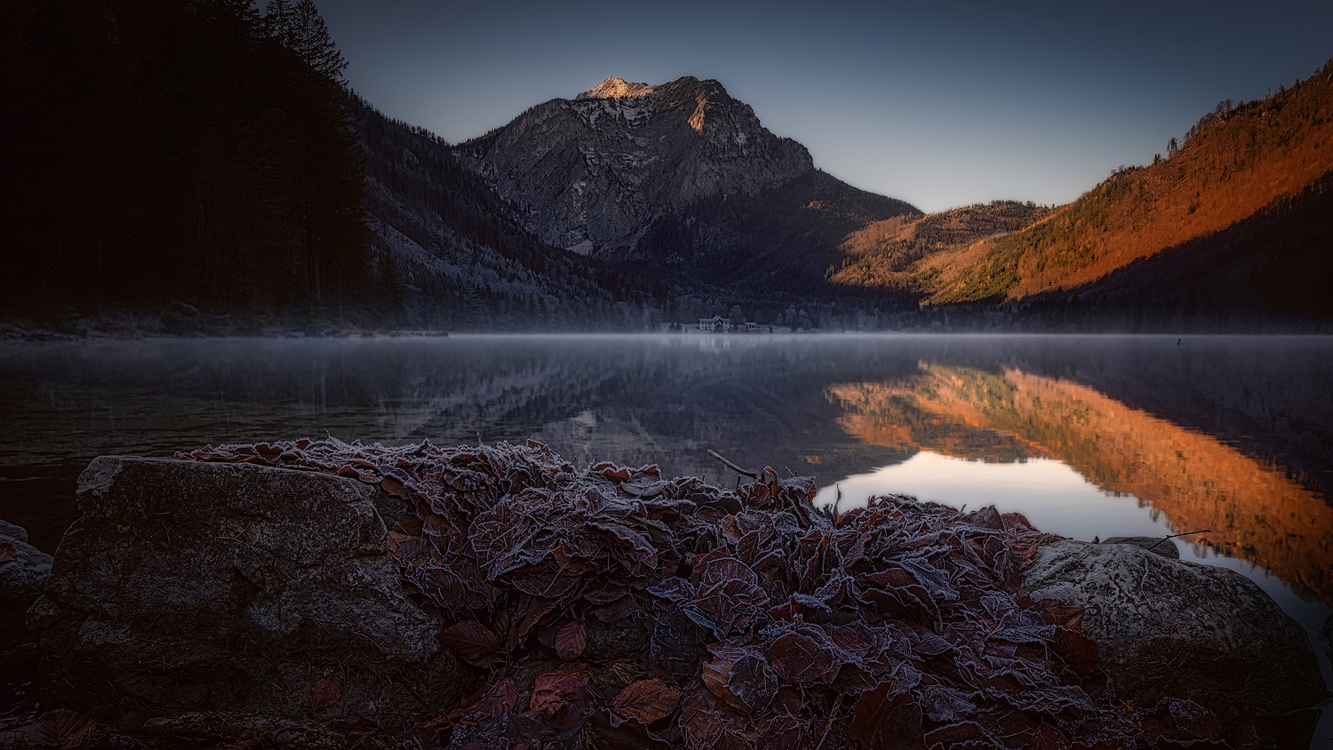 Nebel beim Langbathsee