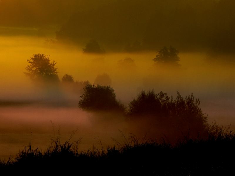 Nebel beim Mühlehözli