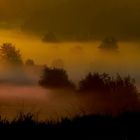 Nebel beim Mühlehözli