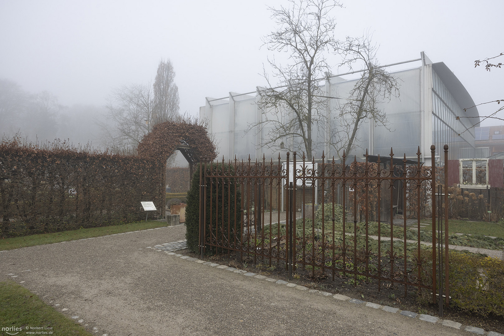 Nebel beim Pflanzenschauhaus