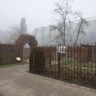 Nebel beim Pflanzenschauhaus