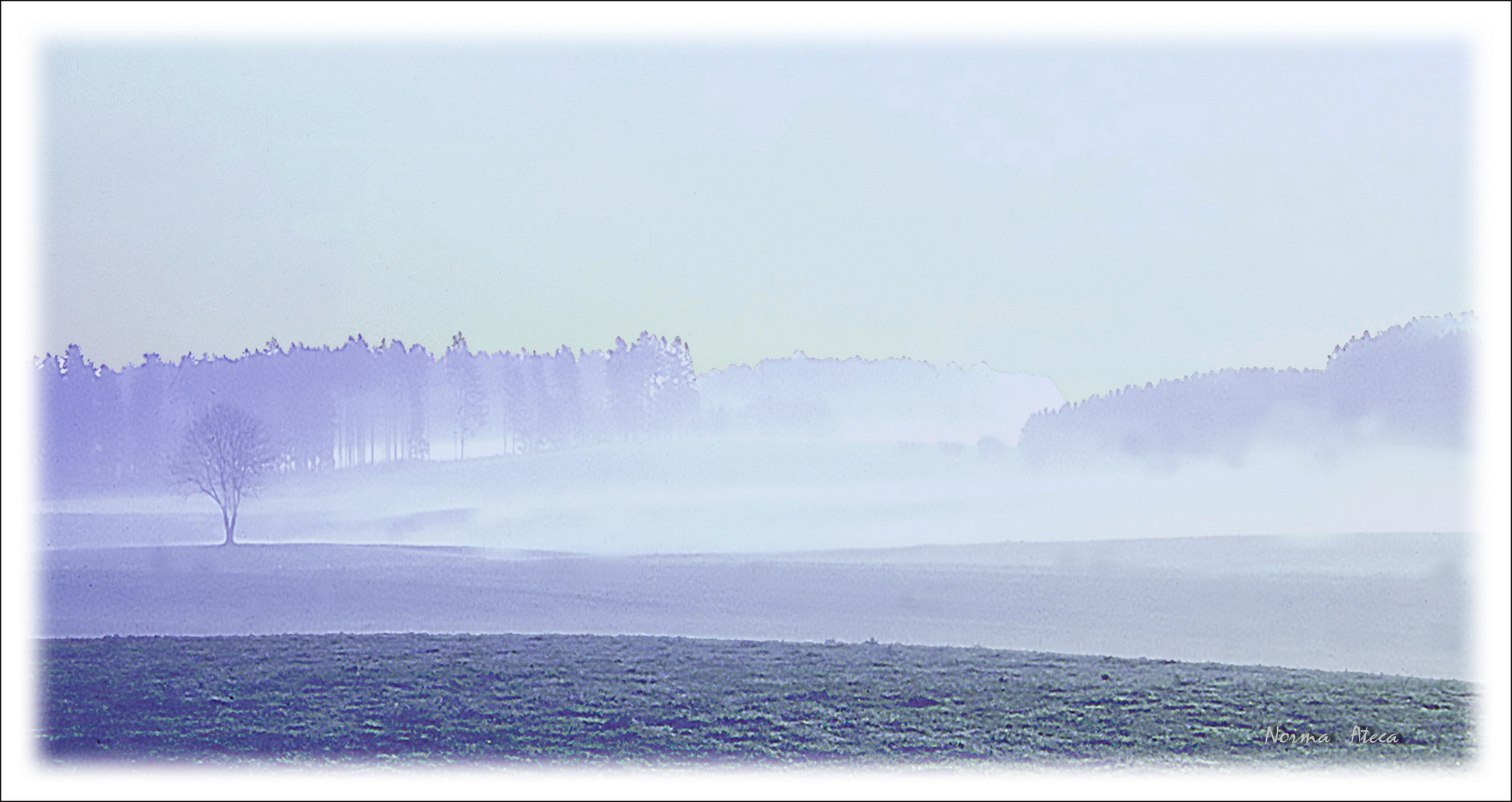 Nebel beim Sachsenried Jahr 2000  