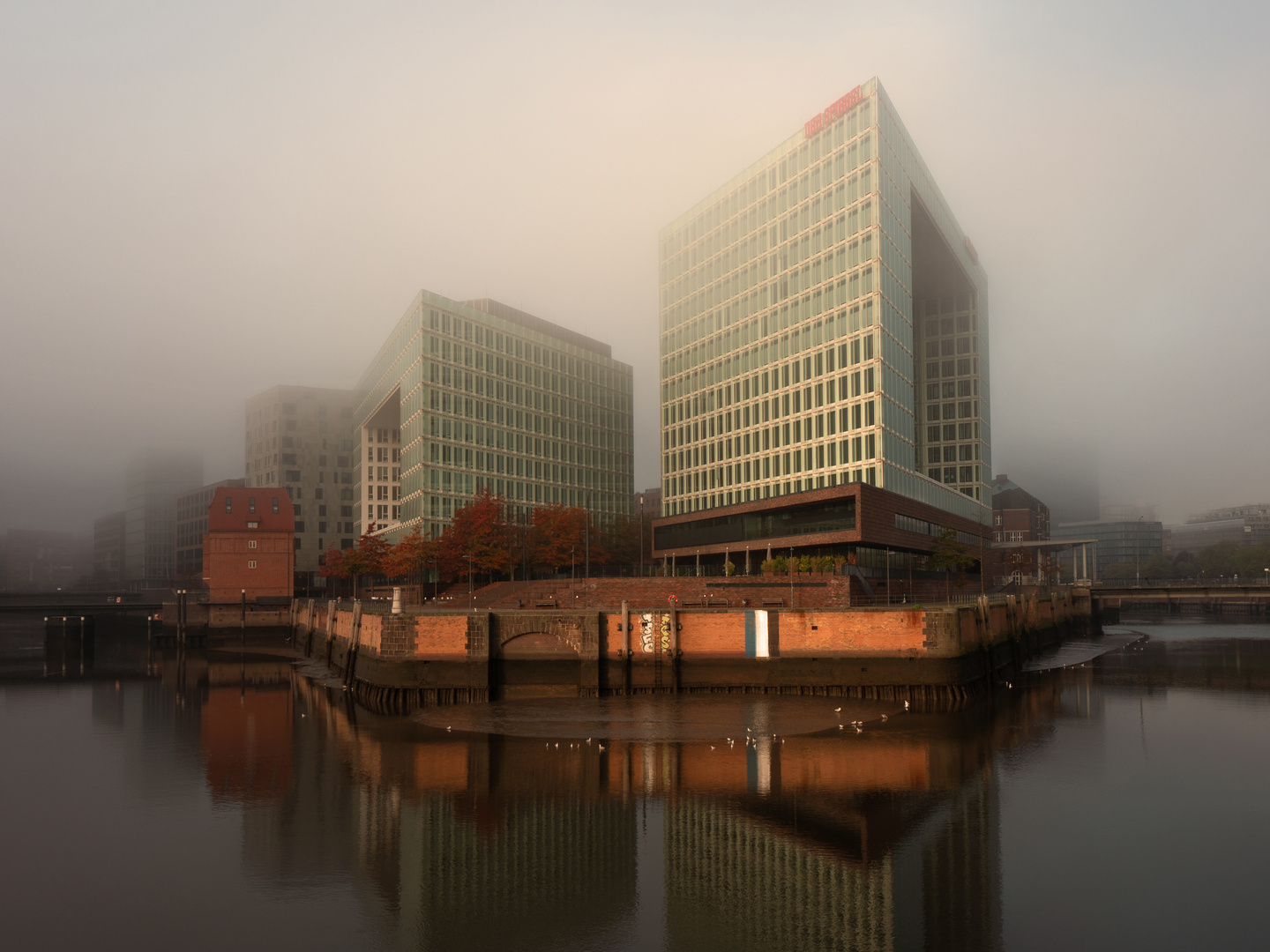 Nebel beim Spiegel