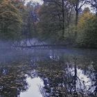 Nebel beim Teich