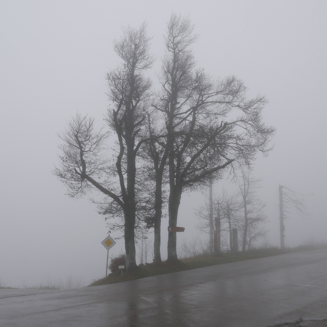 Nebel (Blauen, Schwarzwald)