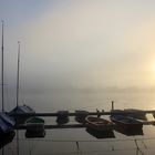 Nebel, Boote und Enten