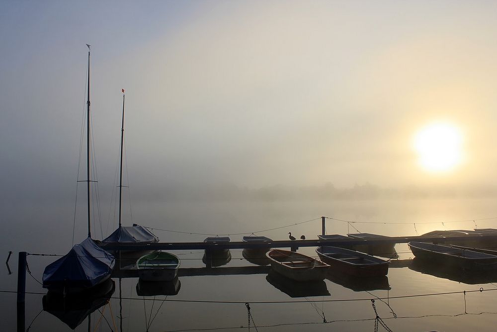 Nebel, Boote und Enten